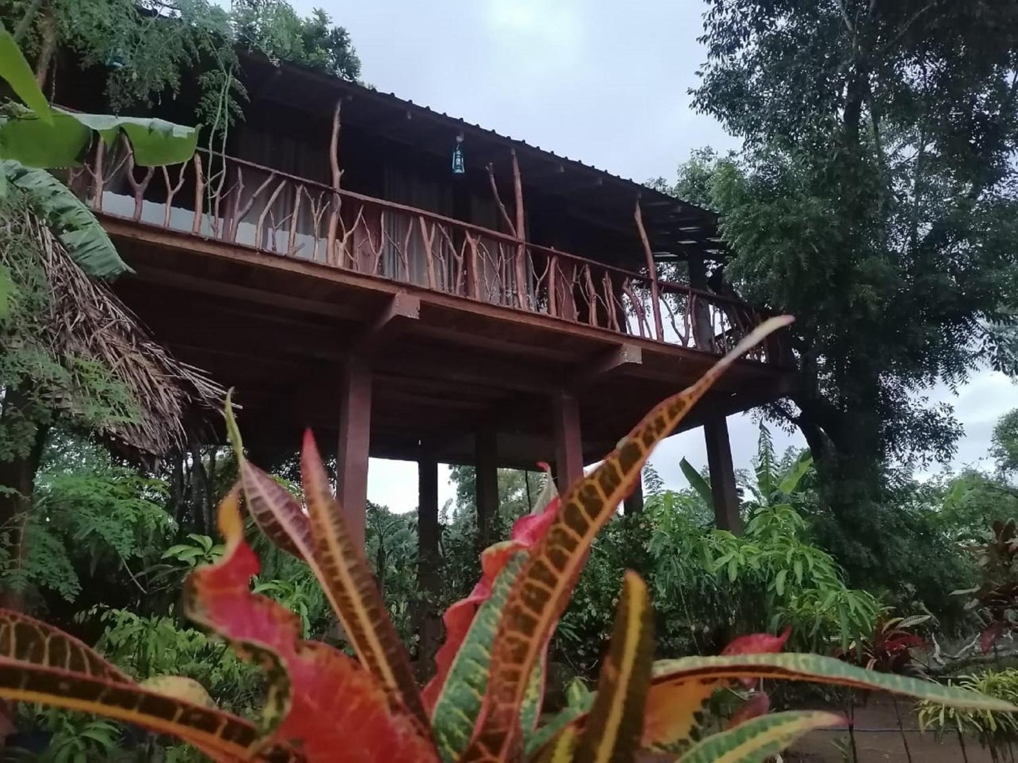 Sigiriya Rock View Tree House Exterior foto